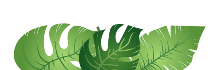 Decorative jungle leaves