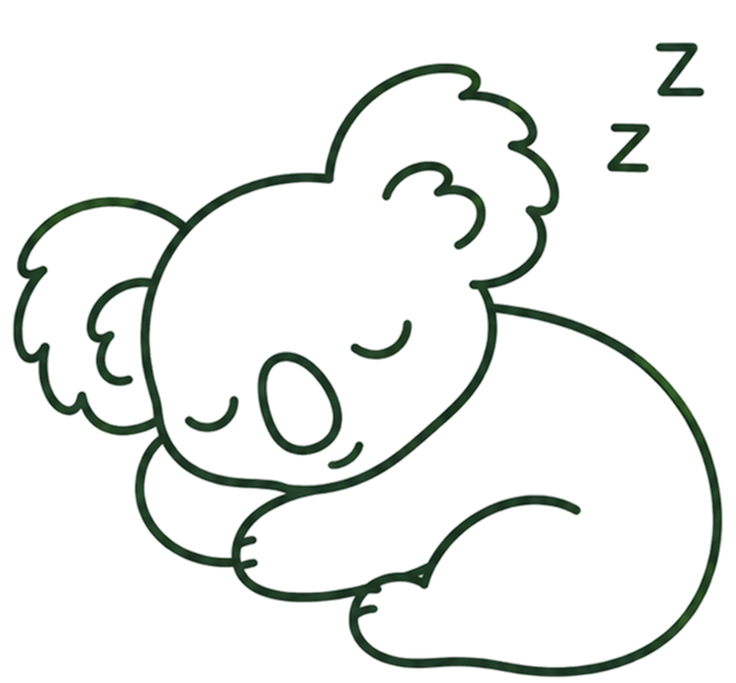 Sleeping Koala
