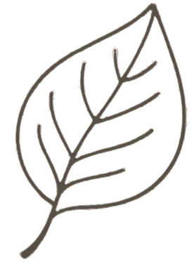 Leaf